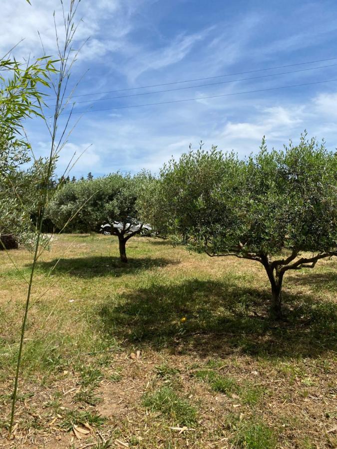 Chalet Des Oliviers 20Mn Des Plages Climatise Béziers Zewnętrze zdjęcie