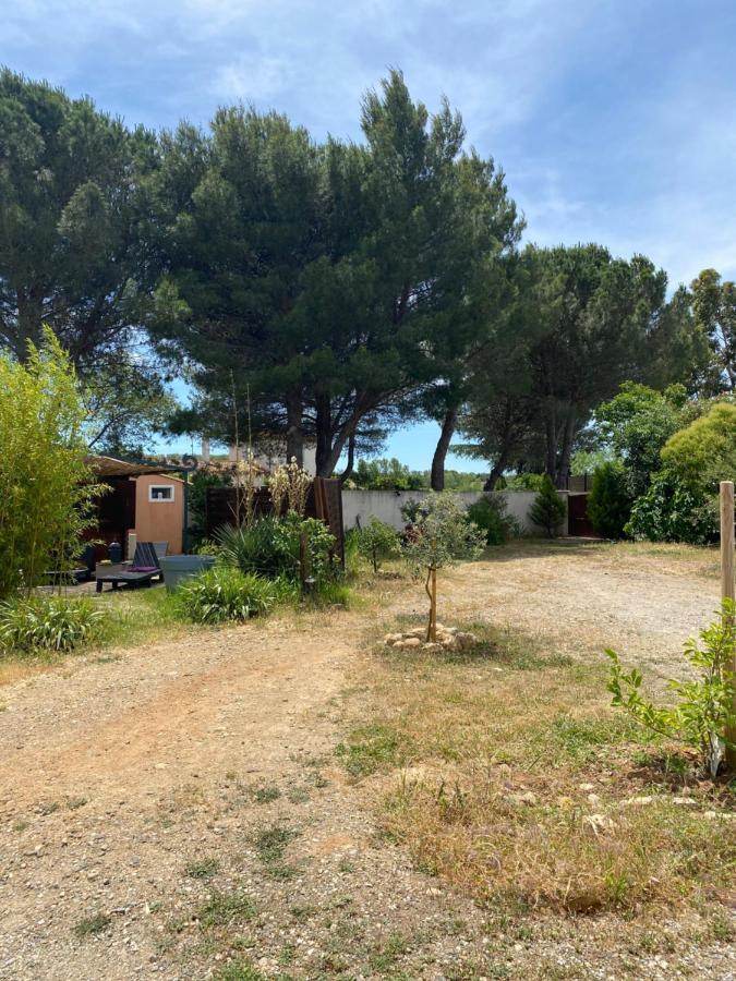 Chalet Des Oliviers 20Mn Des Plages Climatise Béziers Zewnętrze zdjęcie